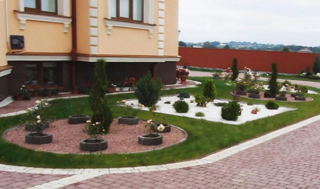 Хвоя і спіралеподібна туя у ландшафтних композиціях