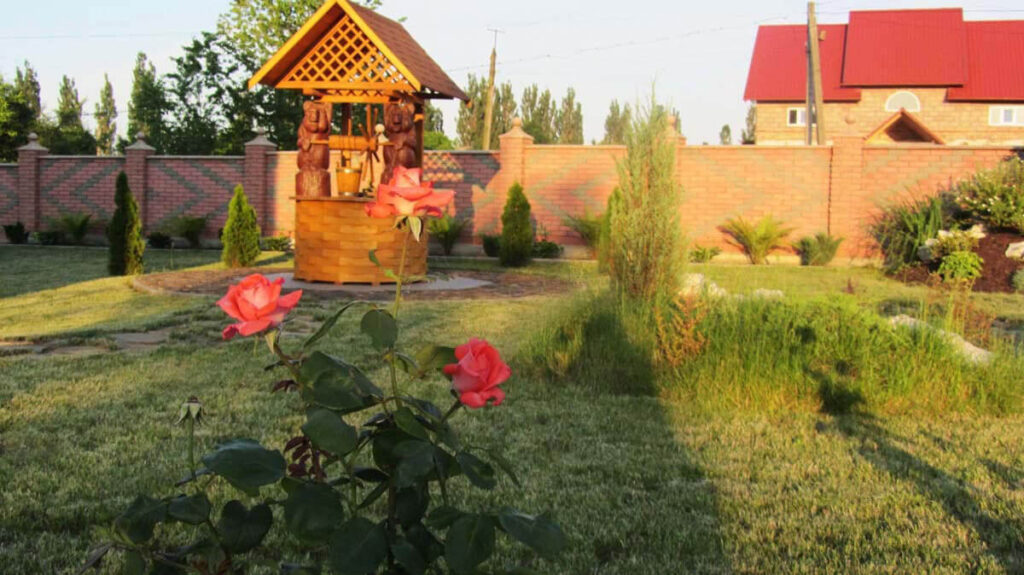 Троянда у ландшафтному дизайні